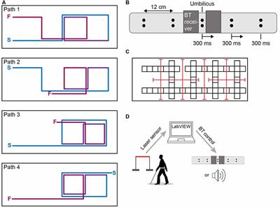 Comparing Tactile to Auditory Guidance for Blind Individuals